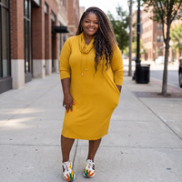 The Nicole Turtle Neck Tunic Dress