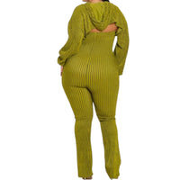 Women Plus Size 2 Piece Shrug Bodycon Jumpsuit