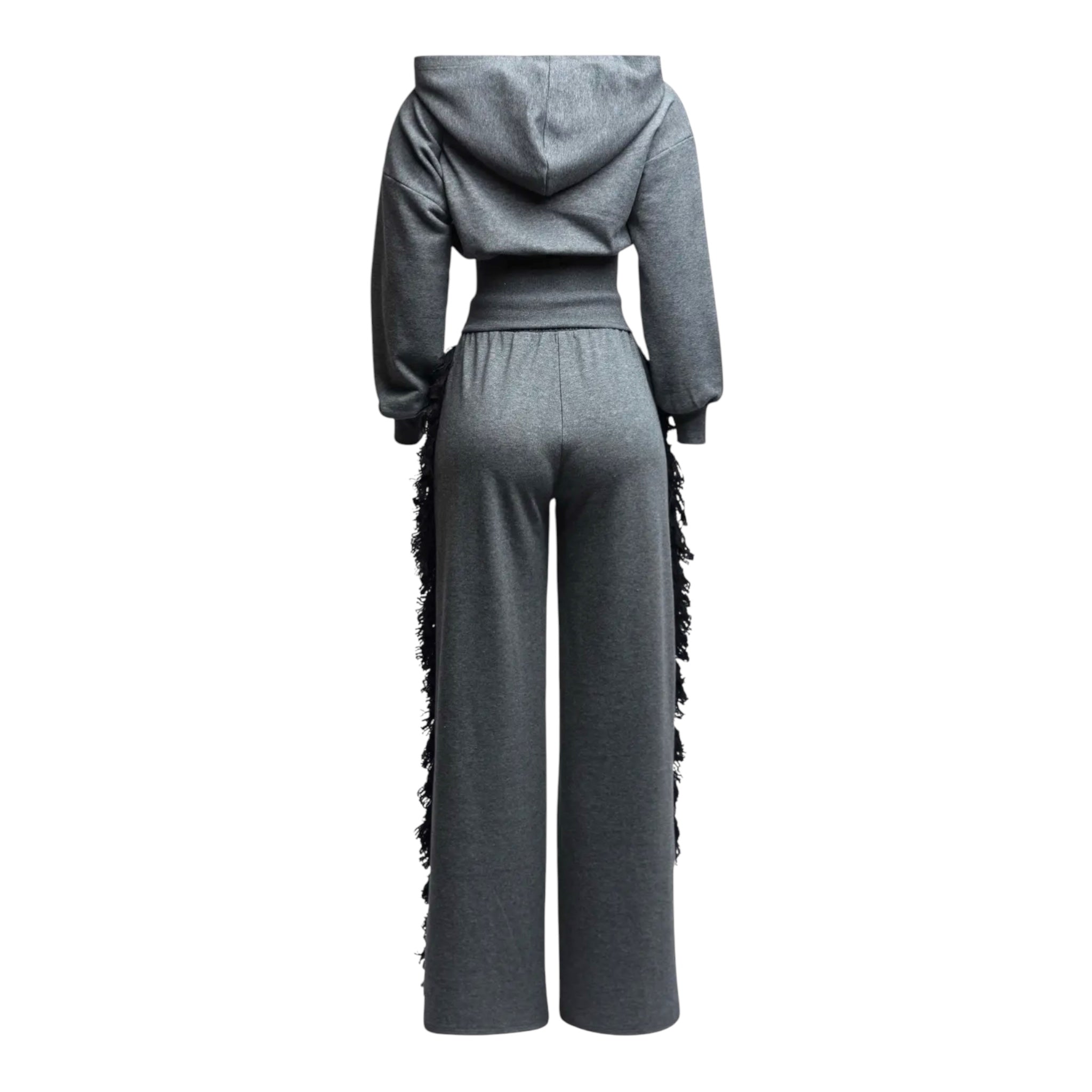 Plus Size Hoodie Jacket and Side Tassel Pants Set