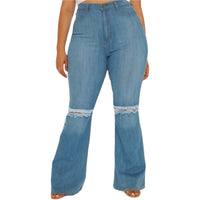 High Rise Plus Size Distressed Jeans - Fabulously Dressed Boutique 